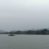 schel 11586268-1-712-JST 商品缩略图0