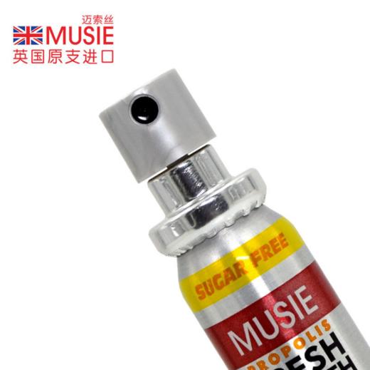 （英国进口迈索丝）蜂胶薄荷味喷气清新剂 商品图4