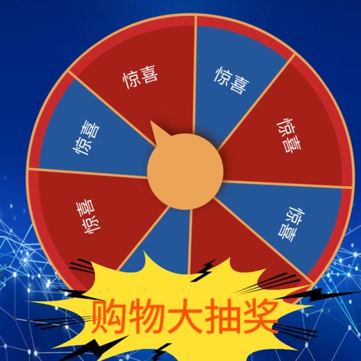100元抽奖券 商品图0