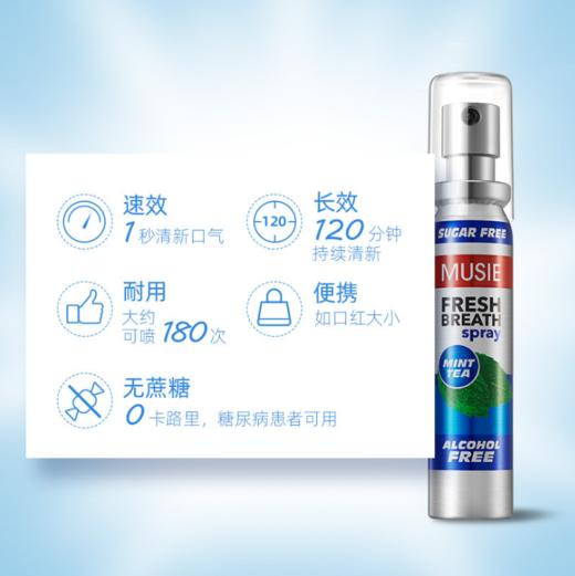 （英国进口迈索丝）薄荷喷气清新剂 商品图2
