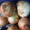 白洋葱 商品缩略图0