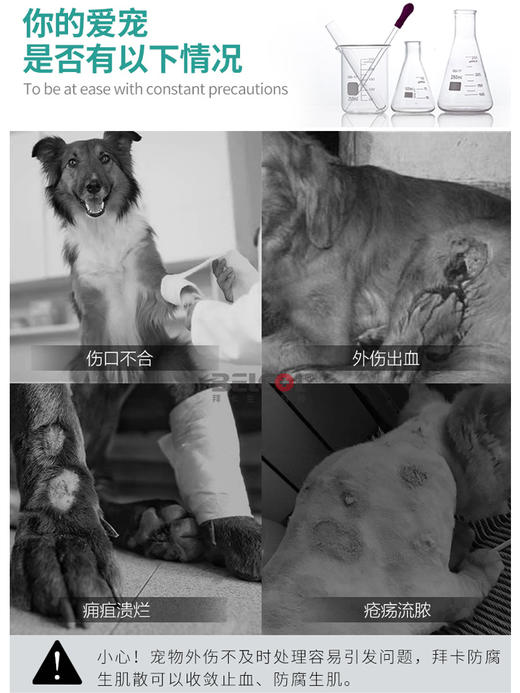 拜卡防腐生肌散5g宠物皮肤病外伤伤口感染发炎愈合止血粉 商品图1