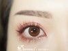 DARRENS无忧（日抛）短期抛无售后 约14.2mm 商品缩略图0