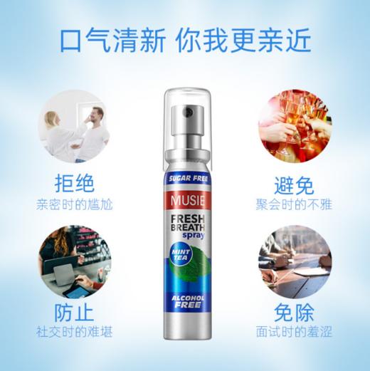 （英国进口迈索丝）薄荷喷气清新剂 商品图3