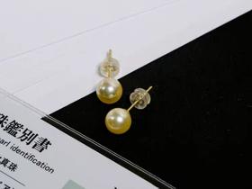 极光金日本akoya海水珍珠耳钉