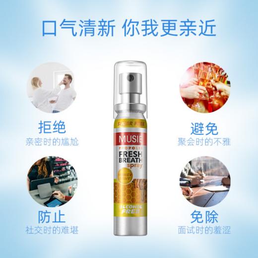 （英国进口迈索丝）蜂胶薄荷味喷气清新剂 商品图3