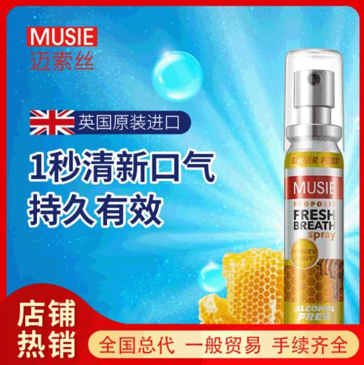 （英国进口迈索丝）蜂胶薄荷味喷气清新剂 商品图0