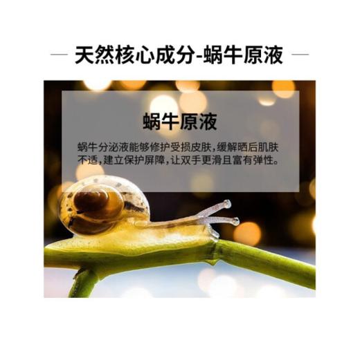 （美颜美）蜗牛去角质手膜 商品图3