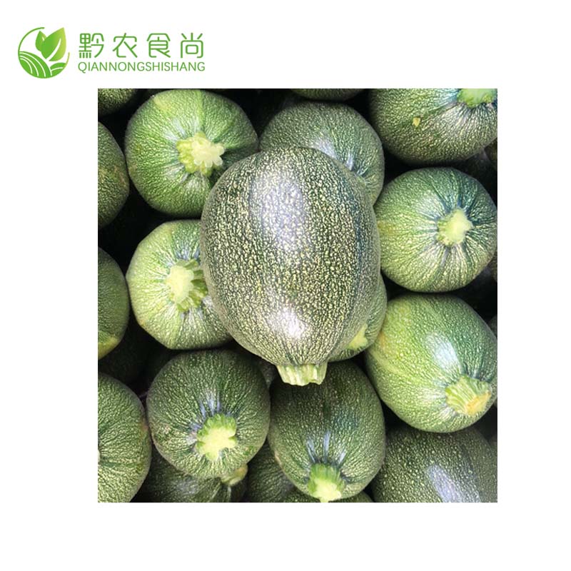 小圆瓜 b