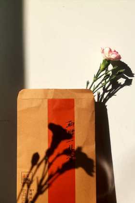 #芳友返图#以“聊赠一枝香”做背景美美哒一组图片