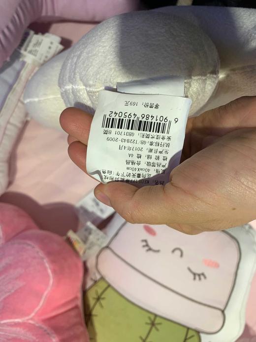 KED5477 单卖异形枕1 走向春天的下午 商品图1