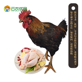 林公鸡 （一只大约在4.5斤至5斤左右）