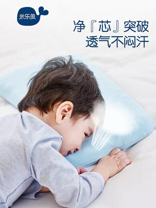 “汗宝宝“必备  净芯深睡枕 商品图0
