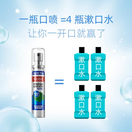 （英国进口迈索丝）薄荷喷气清新剂 商品图1