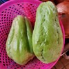 佛手瓜（香黄瓜） 商品缩略图0