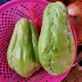 佛手瓜（香黄瓜）