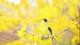 春分丨阴阳均分的重要节点，护肝从此刻开始