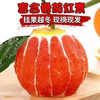 中华血橙 商品缩略图0