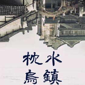 杭州乌镇西栅+南栅一日游 （6人小团 · 西栅夜景 · 提灯走桥·拒绝早起 · 上门接客 · 全程带玩 ）