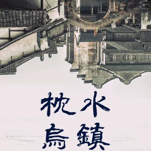 杭州乌镇西栅+南栅一日游 （6人小团 · 西栅夜景 · 提灯走桥·拒绝早起 · 上门接客 · 全程带玩 ） 商品图0