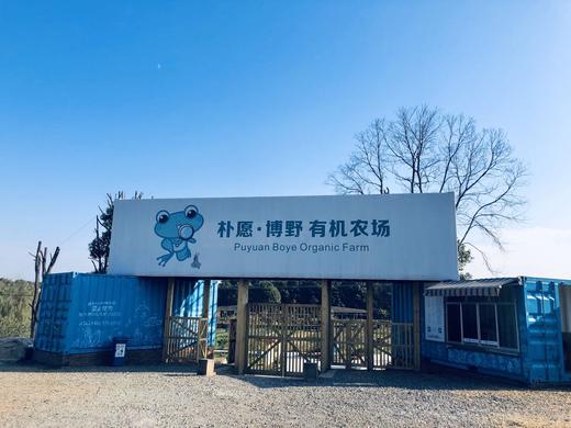 2020年 朴愿博野有机农耕科普园 入园券 | 抵用券 商品图0