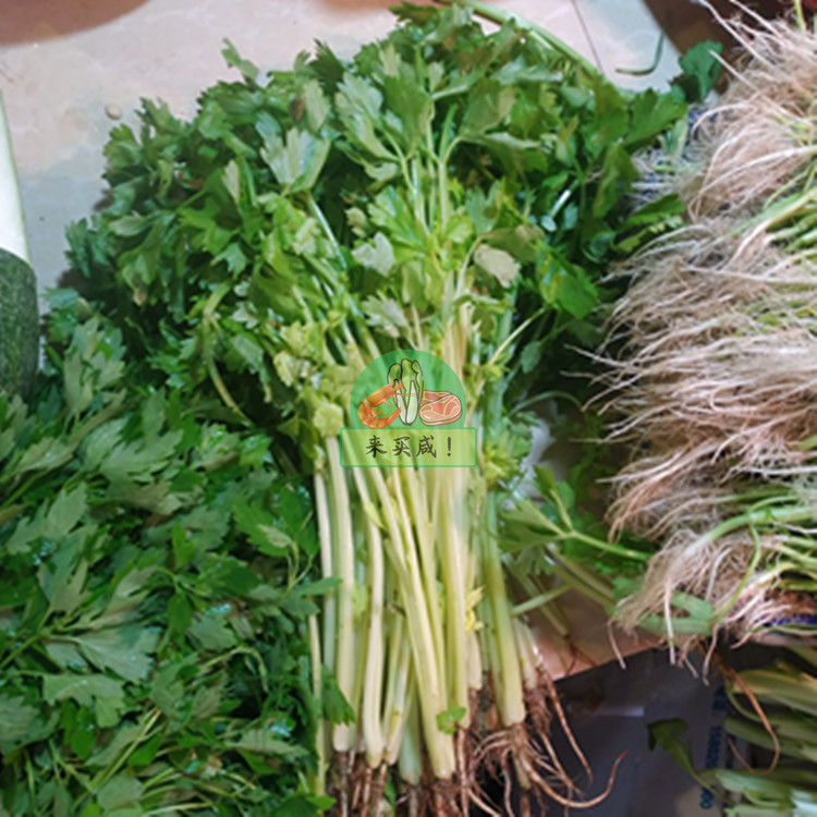 芹菜