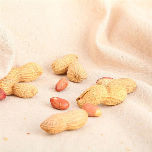 果园老农口水花生 商品图3