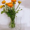 SF1720电镀花瓶 商品缩略图3