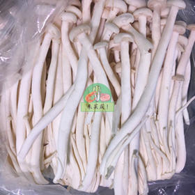 海鲜菇