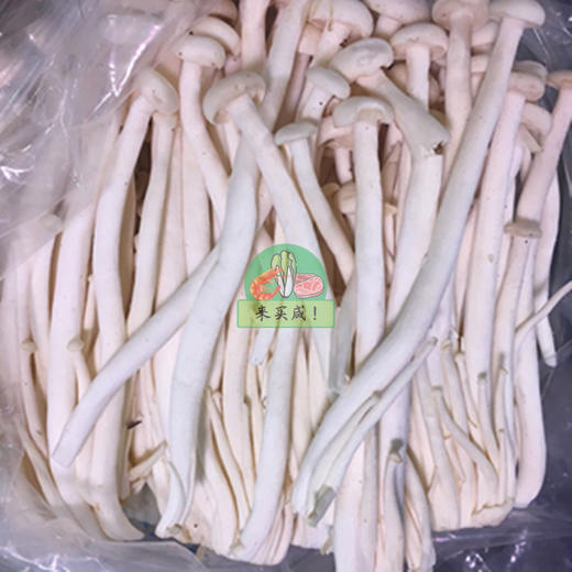 海鲜菇 商品图0