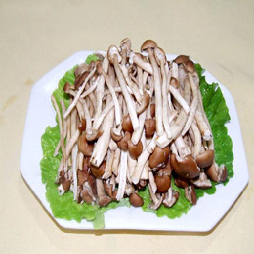 茶树菇 商品图0
