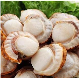 苏食海天下扇贝肉柱200克【0510】 商品图0