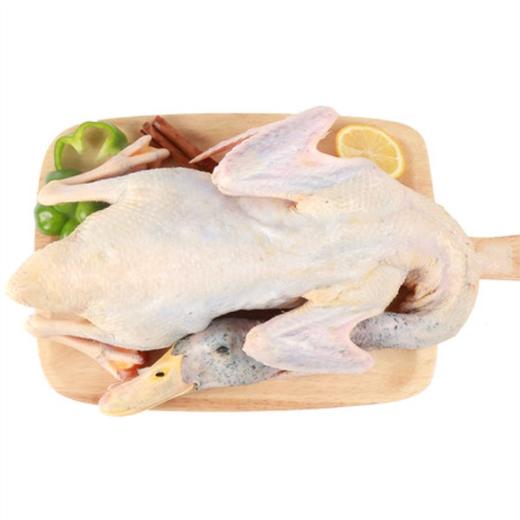 （特惠69元/只毛重5斤麻鸭）艾亭曹大爷贫困户养殖土麻鸭洪河养殖净重4斤左右 商品图3