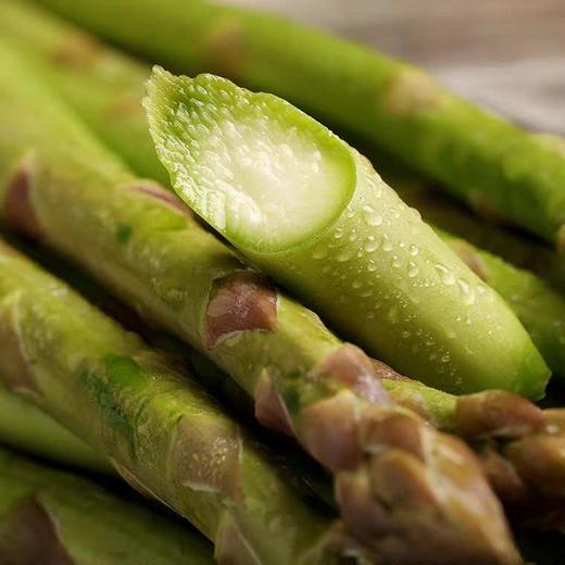 芦笋 1斤 商品图1