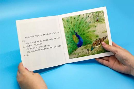 《小小自然图书馆》（精编版） 商品图7