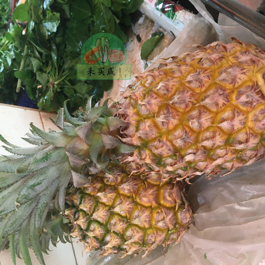 菠萝 凤梨 商品图0