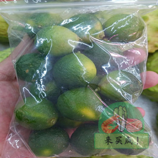 小青桔 商品图0