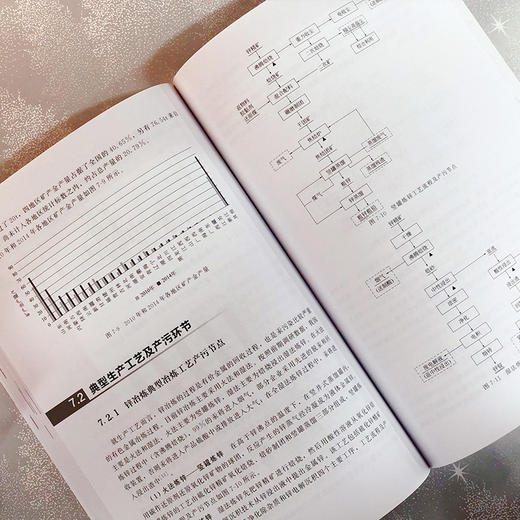 汞及汞污染控制技术 商品图6