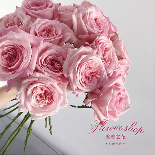 【花粉团购群】特惠秒杀59包邮！20枝荔枝玫瑰 白粉颜色随机 商品图0