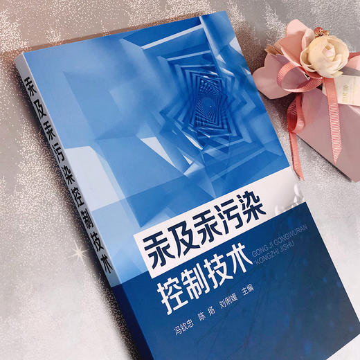 汞及汞污染控制技术 商品图2