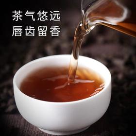 简单生活 普洱小沱茶