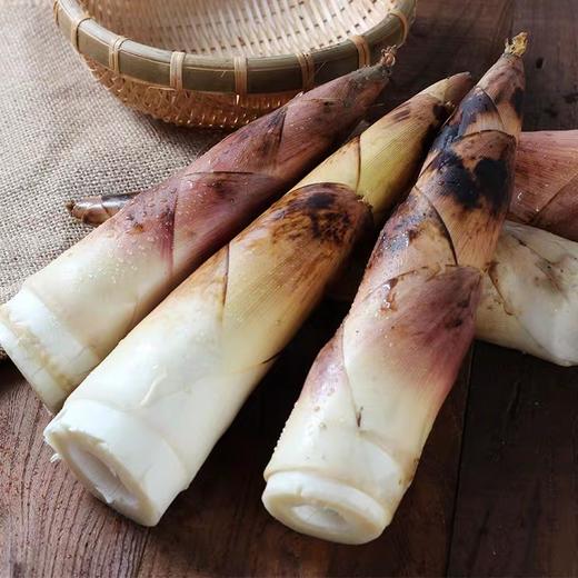 景宁新鲜现挖雷笋（带皮5斤） 商品图0