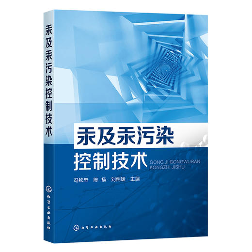 汞及汞污染控制技术 商品图0