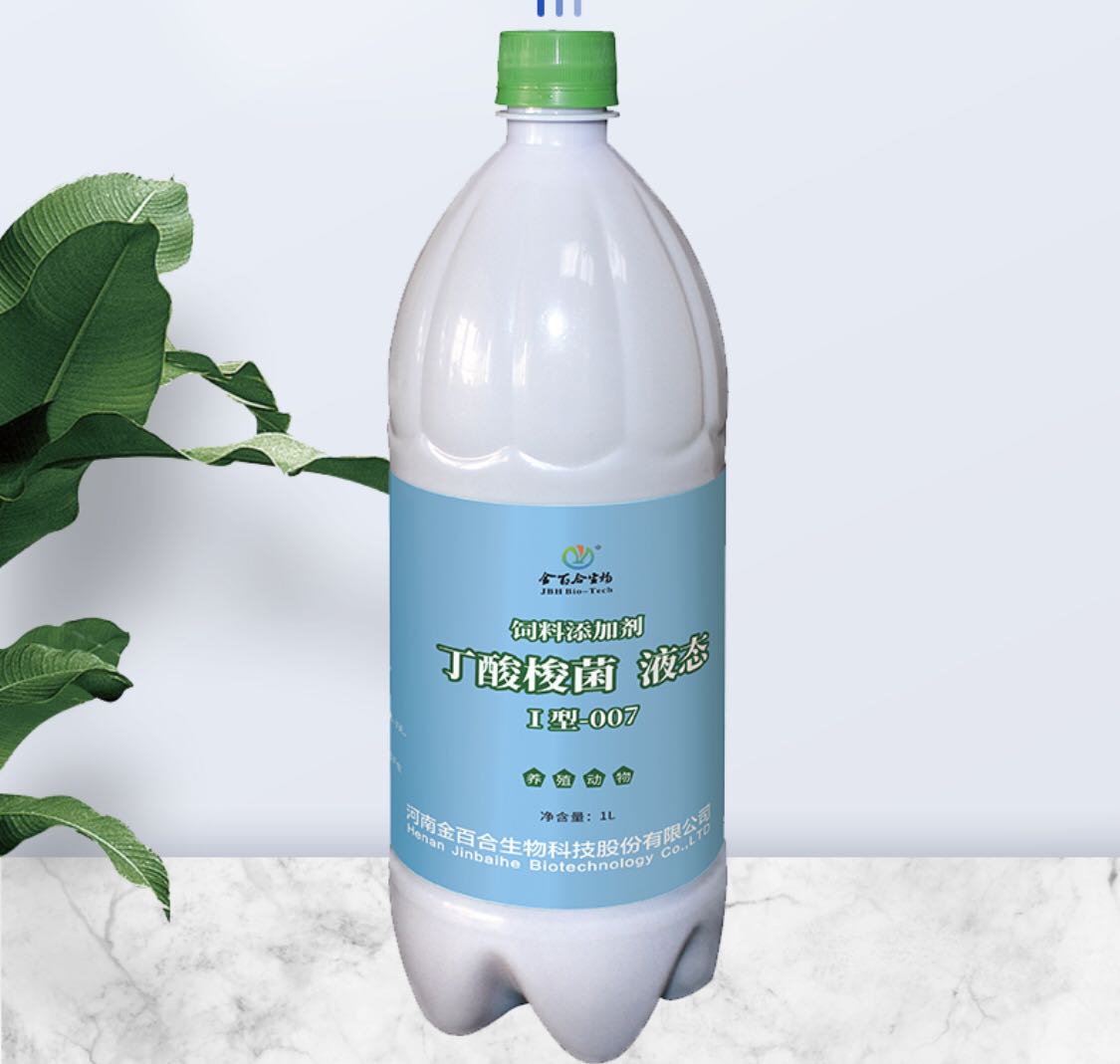 丁酸梭菌007（肠道问题终结者）
