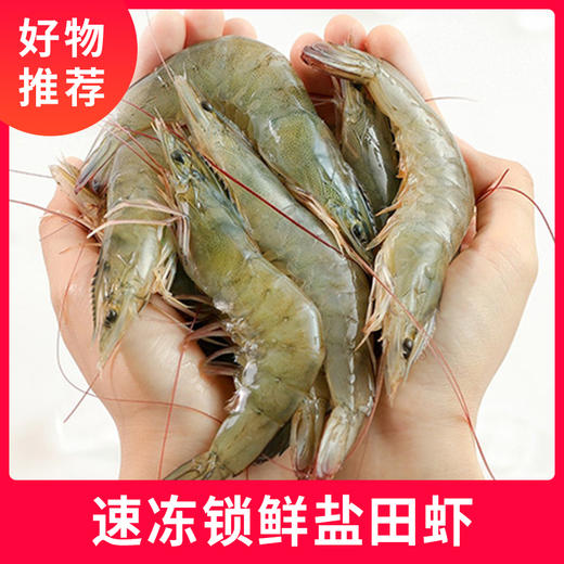 鲁产名品滨州盐田虾2斤袋装 轻享经典礼包 盐田生虾500g+ 盐田生虾仁500g 商品图2