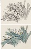 包邮名家教你画套装四本映山红水仙菊花蝴蝶中国画技法丛书儿童成人国画入门教程附赠视频教学花鸟技法临摹教材书河南美术出版社 商品缩略图4