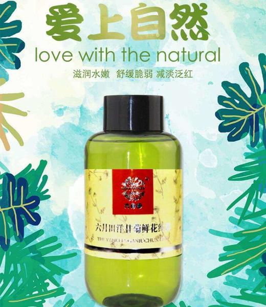 买一送一 新疆伊犁洋甘菊纯露    250ml*2瓶 下单即送小喷瓶 商品图1