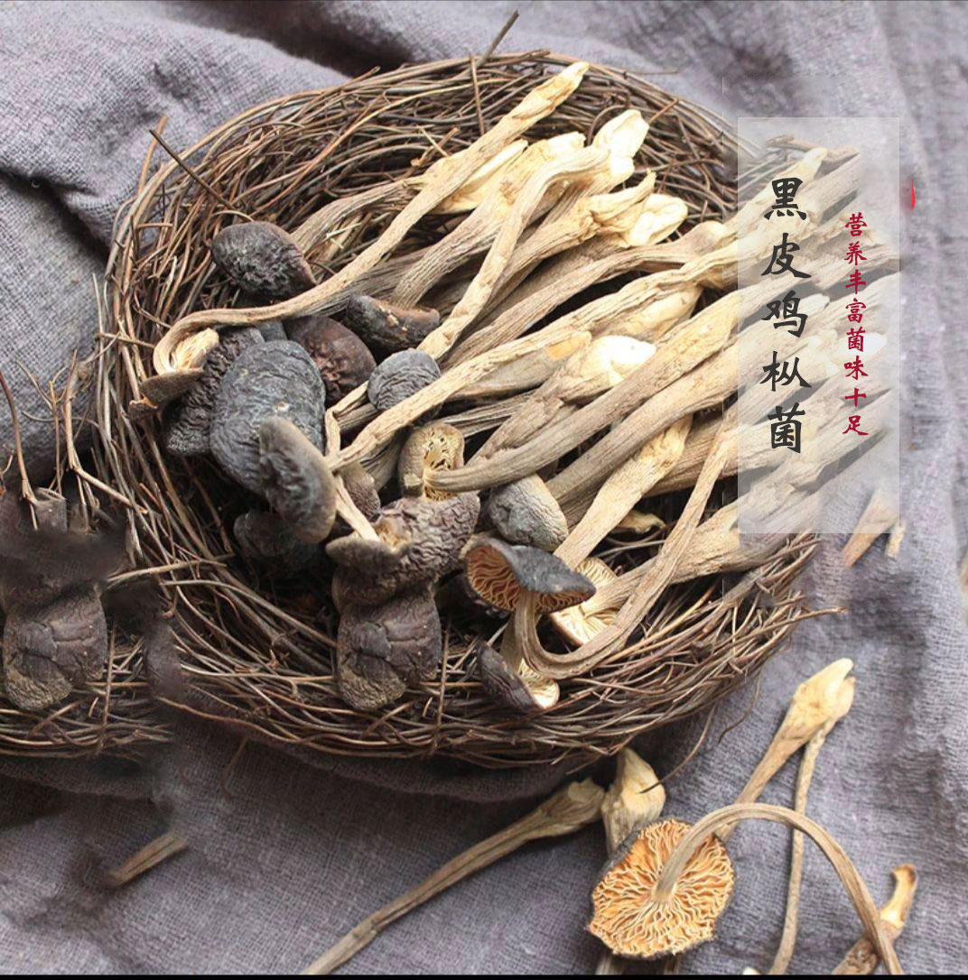 黑皮鸡枞菌干品食用菌农产品蘑菇40克