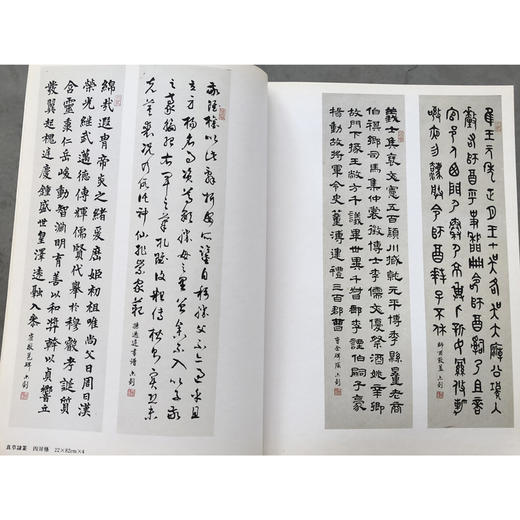 马亦钊书法篆刻选 书法作品集 印谱欣赏  西泠印社出版社 商品图2