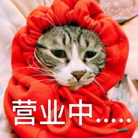 国贸店总统套房双早优惠价